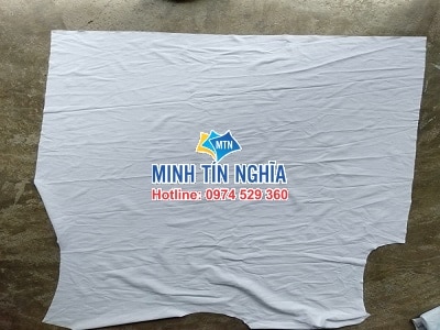 RẺ LAU KHÔNG BỤI RẺ LAU KHÔNG BỤI