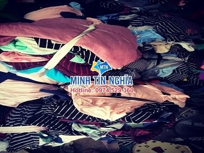 GIẺ LAU BÌNH DƯƠNG (2) GIẺ LAU BÌNH DƯƠNG (2)