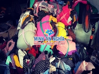 GIẺ LAU MIỀN NAM