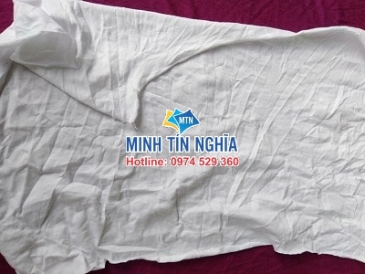 GIẺ LAU TRẮNG BIÊN HOÀ